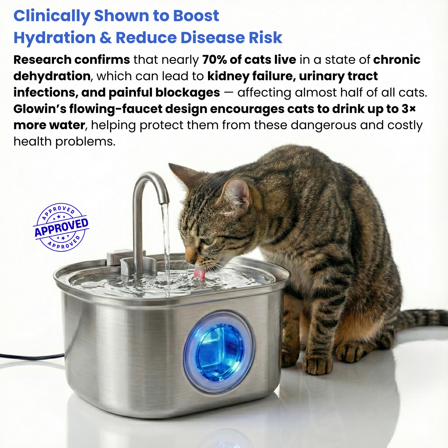 Glowin Stainless Steel Water Fountain