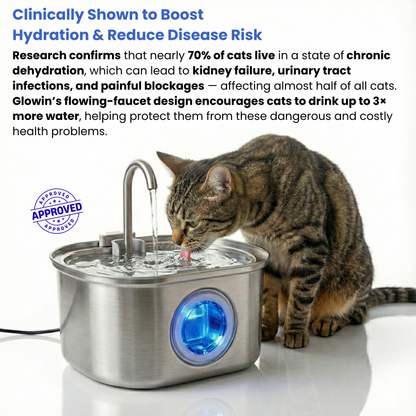 Glowin Stainless Steel Water Fountain