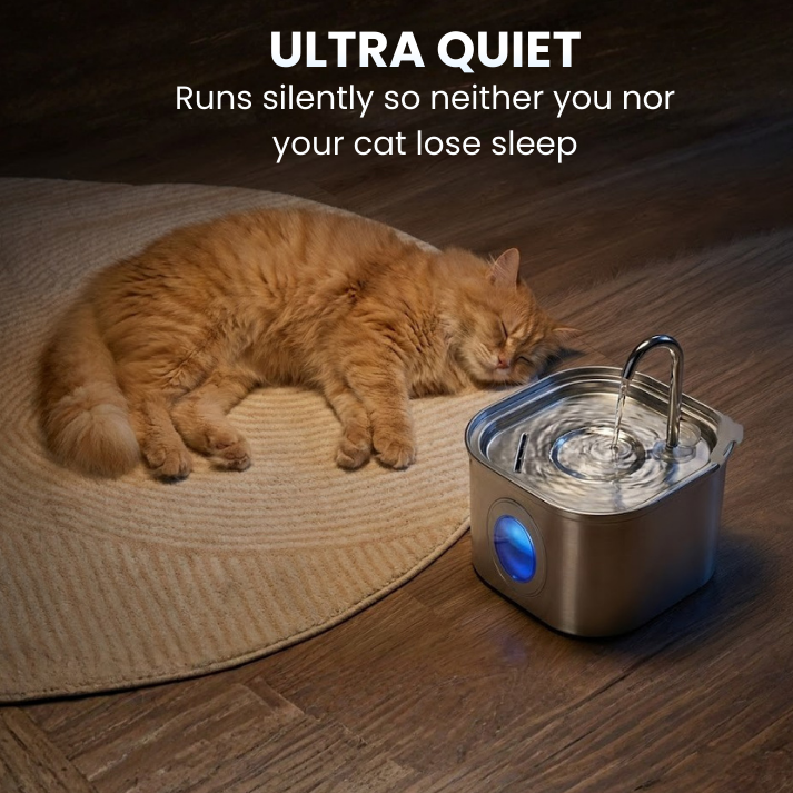 Glowin Stainless Steel Water Fountain