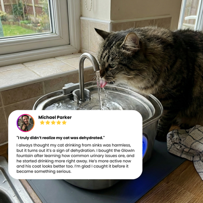 Purrify Stainless Steel Water Fountain